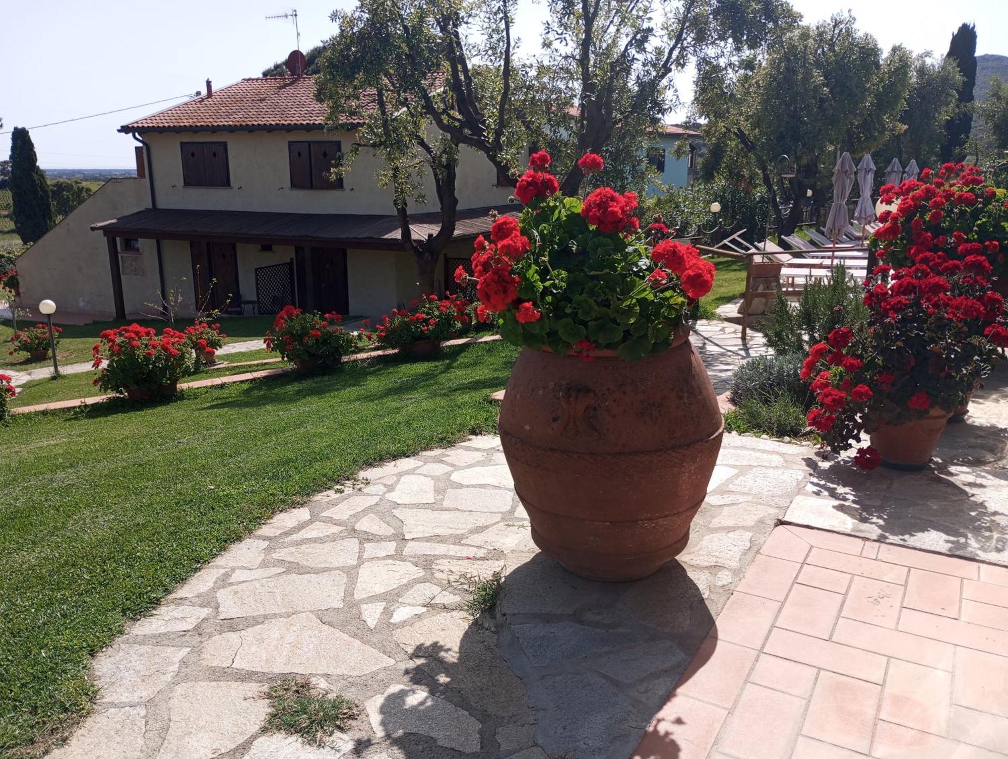 Agriturismo La Luciana Кастильоне-делла-Пеская Экстерьер фото